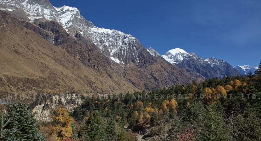 Annapurna Circuit Trek 14 Days [2026]
