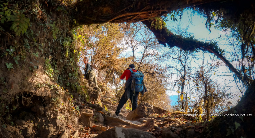 Mardi Himal Trek 6 Days [2026]