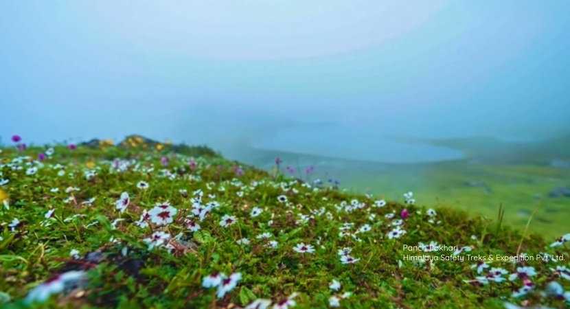 Panch Pokhari Trek 6 Days