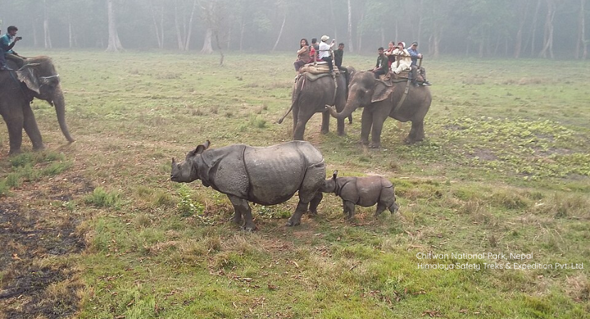 Chitwan National Park Jungle Safari