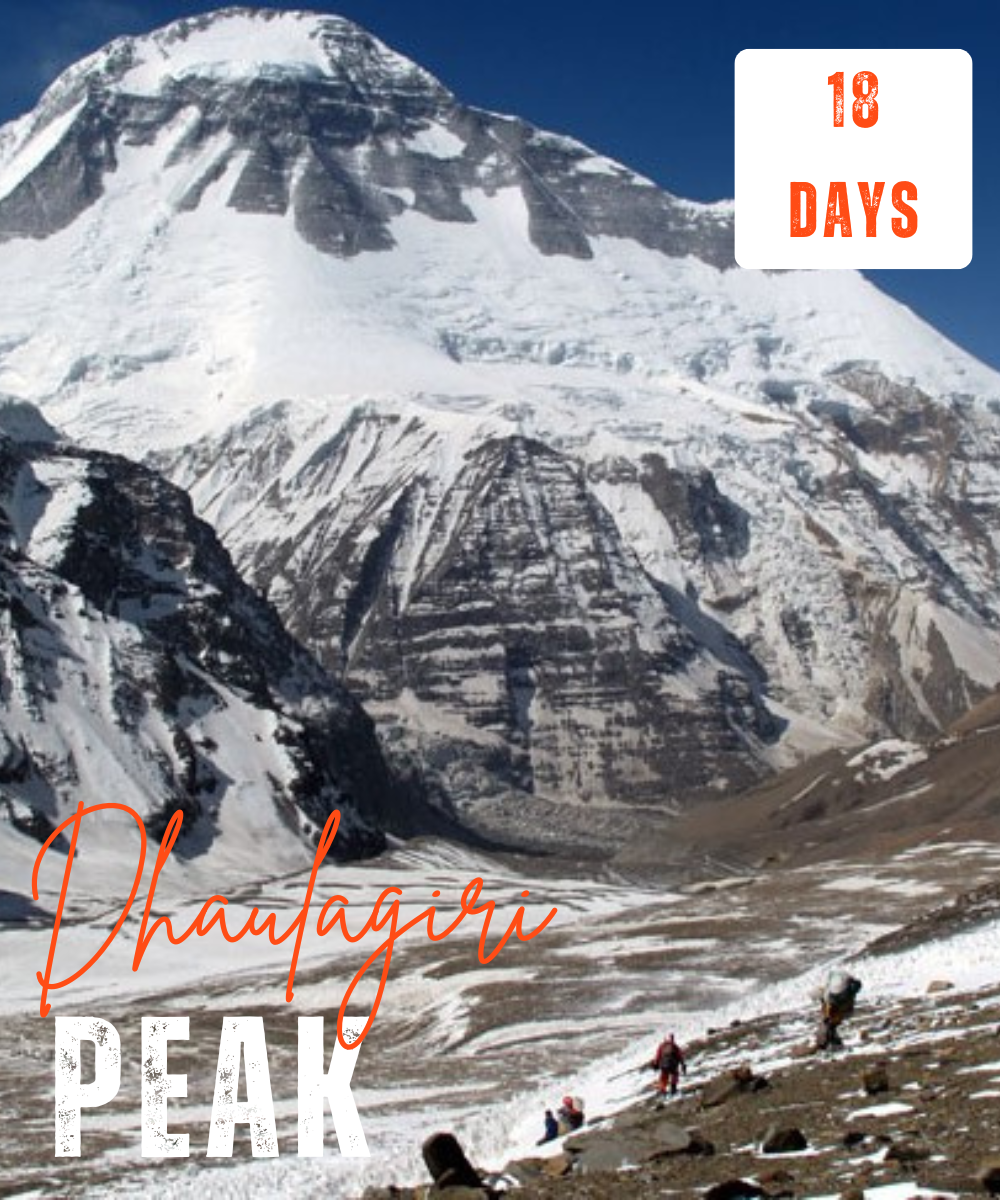 Dhaulagiri peak