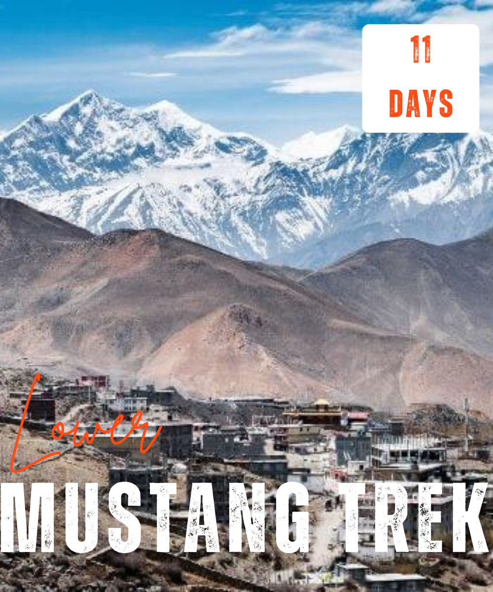 lower mustang trek