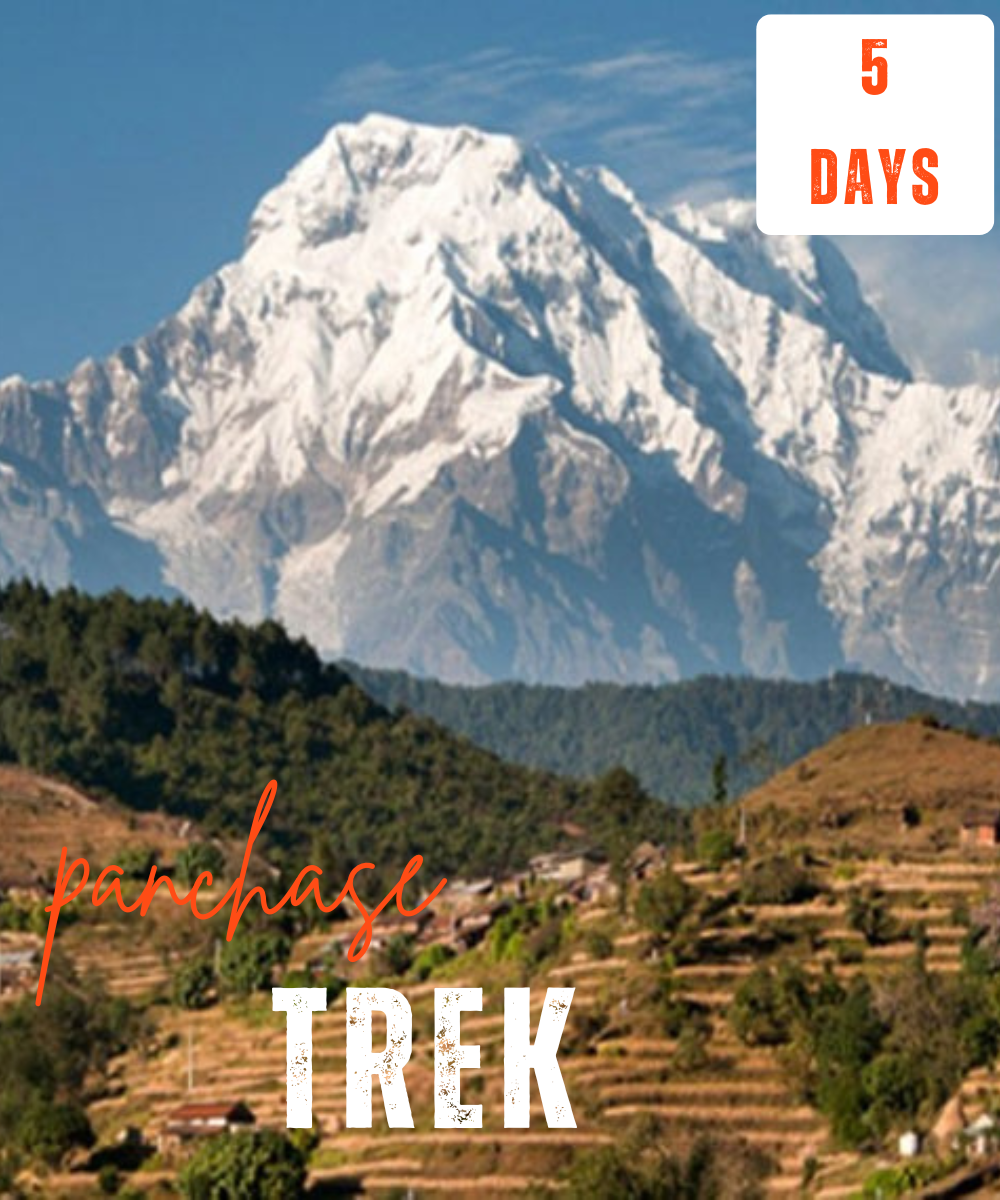 panchase trek