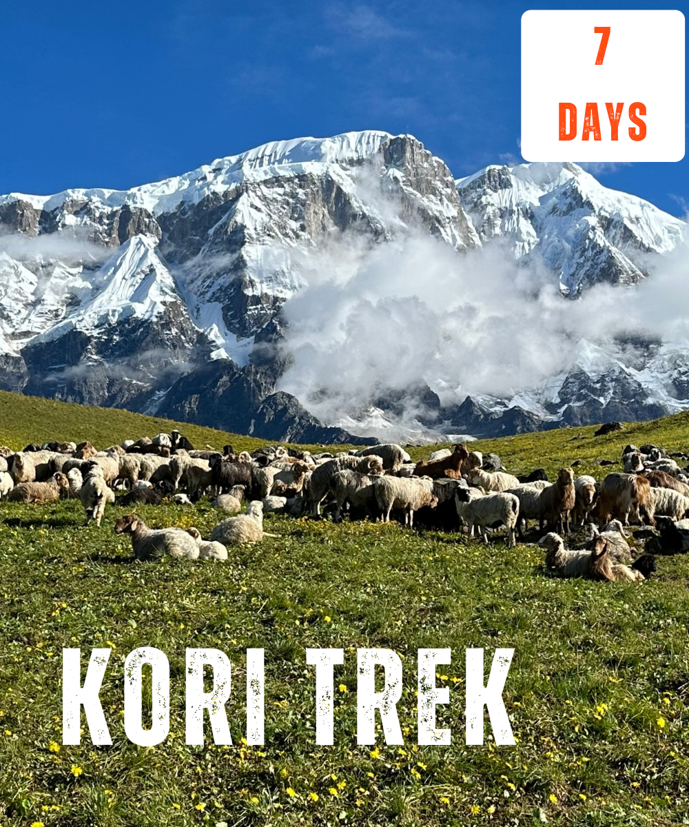 Kori Trek